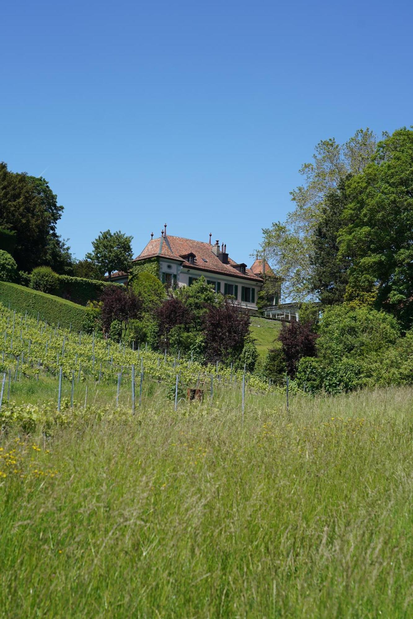 Le Chateau Lavigny Extérieur photo